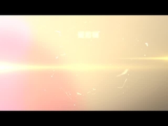 Bedeckungs-Verbrennungs-Leistungs-Prüfvorrichtung des Dach-UL790