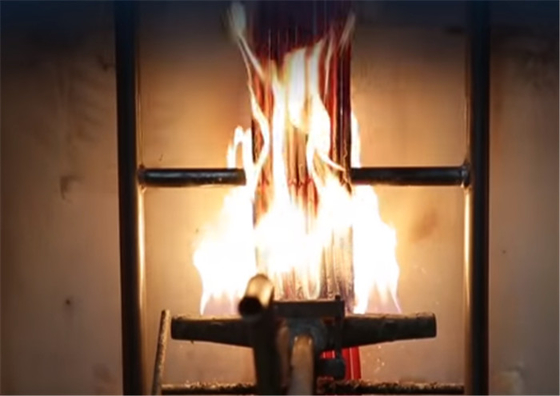 Draht und Kabel, die Verbrennungs-Prüfvorrichtung der Feuer-Prüfmaschine-AC220V bündeln